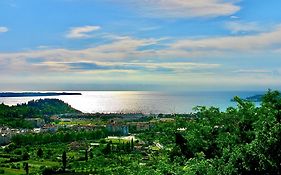 Sea View Olive Retreat
