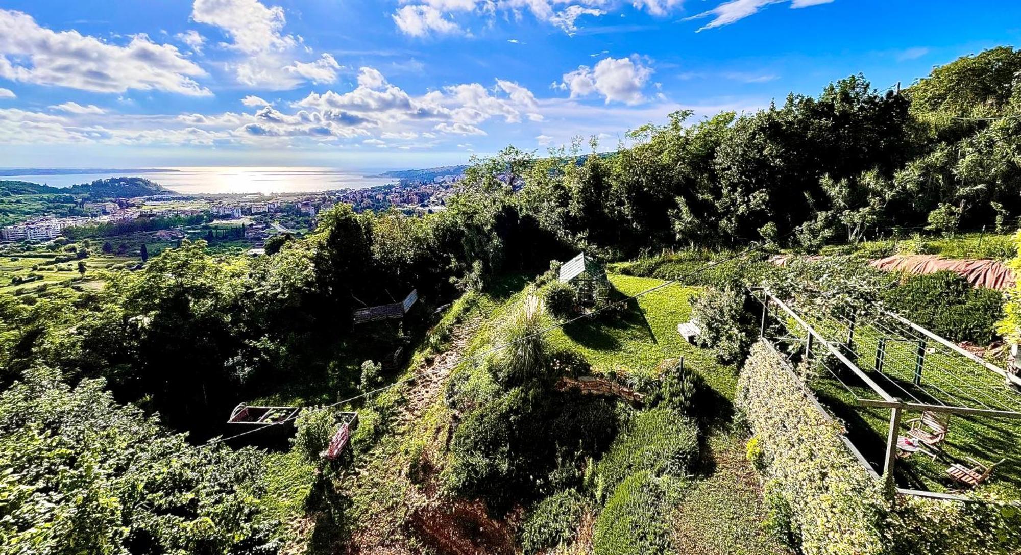 Ferienwohnung Sea View Olive Retreat Portorož Exterior foto